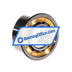 FAG NJ2309-E-XL-M1A-C3