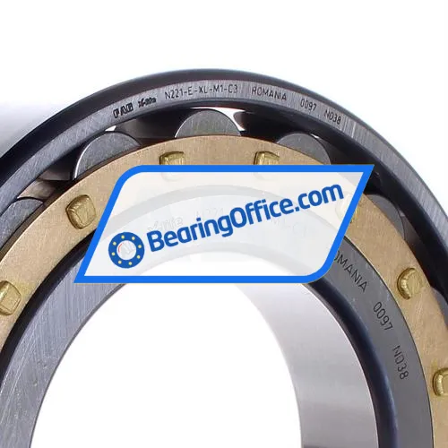 FAG N221-E-XL-M1-C3 bearing image 2