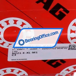 FAG N221-E-XL-M1-C3 rulman resim 6