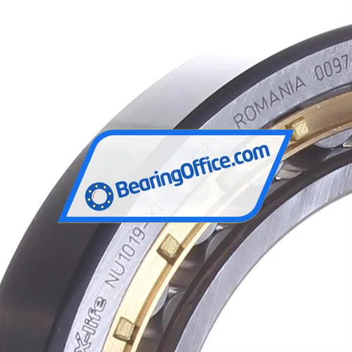 FAG NU1019-XL-M1-C3 bearing image 3