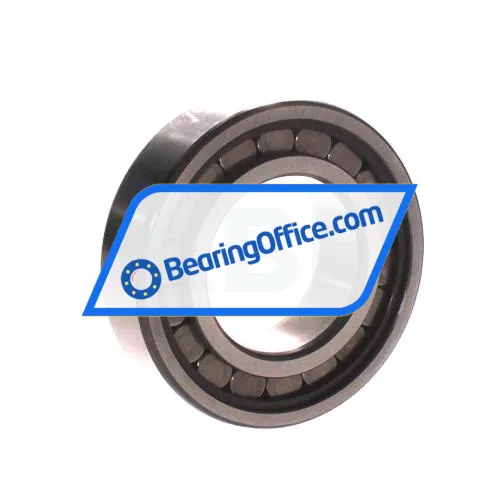 INA SL182209-A-XL-2S bearing image 2