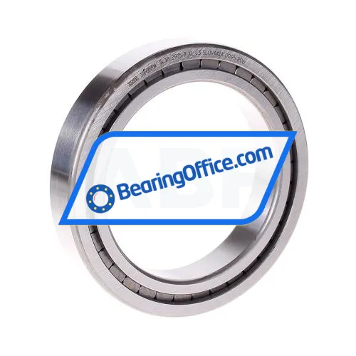 INA SL182915-B-XL-C3