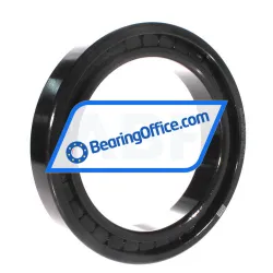 INA SL182930-B-XL-BR-C3