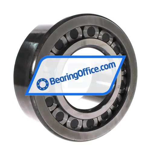 INA SL192319-TB-XL-C3