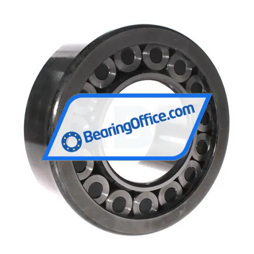 INA SL192319-TB-XL-C3 bearing image 2
