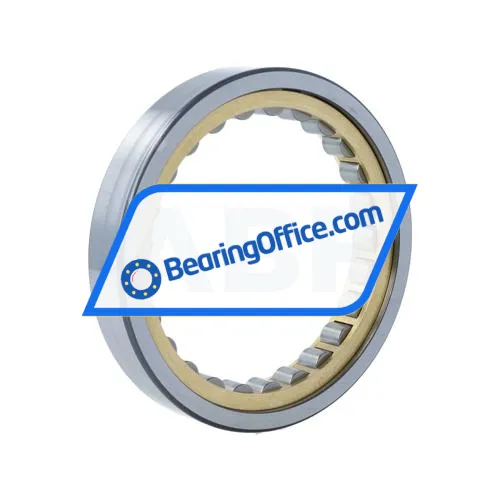 FAG RNU1017-XL-M1A bearing image 2