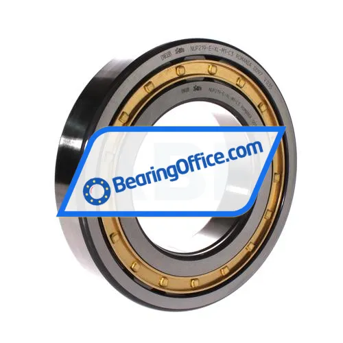 FAG NUP219-E-XL-M1-C3