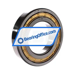 FAG NUP219-E-XL-M1-C3