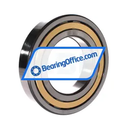 FAG NUP219-E-XL-M1-C3 rulman resim 2