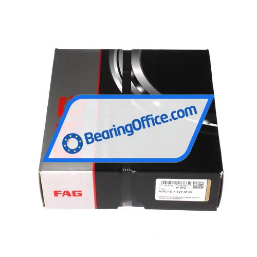 FAG N1017-D-K-TVP-SP-XL bearing image 2