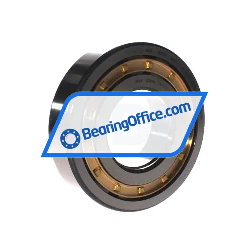 FAG NUP313-E-XL-M1-C3