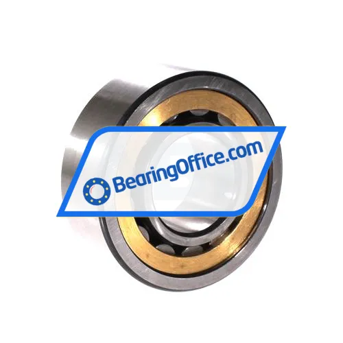 FAG NU2309-E-XL-M1A-C4 bearing image 2