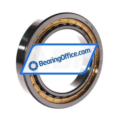 FAG NU1019-XL-M1A-C3