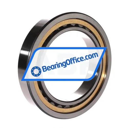 FAG NU1019-XL-M1A-C3 bearing image 2