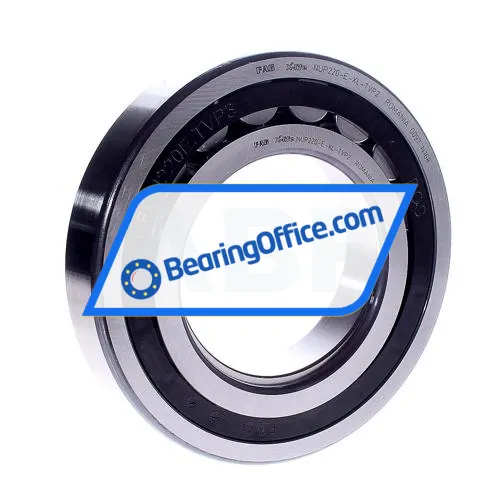 FAG NUP220-E-XL-TVP2