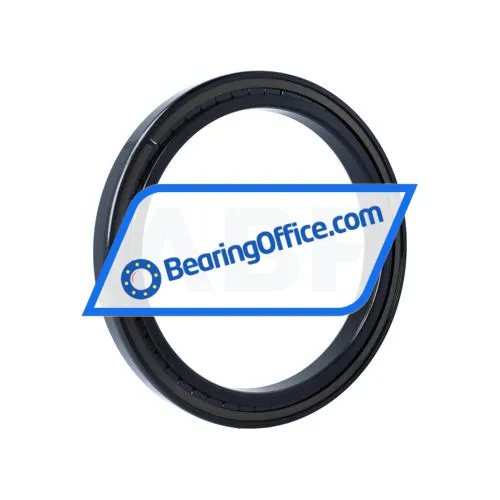 INA SL181838-A-BR bearing image 2