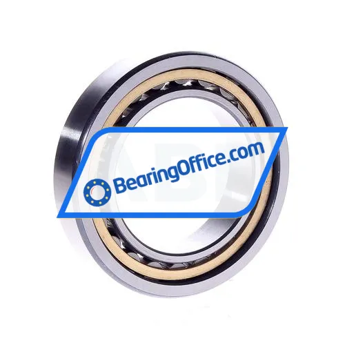 FAG NU1010M1 bearing image 2