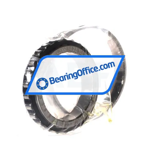 FAG N1013-D-K-TVP-SP-XL