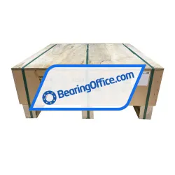 INA SL183080-TB rulman resim 2