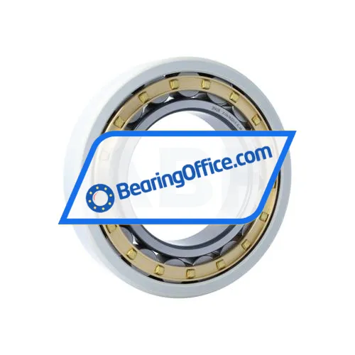 FAG NU224-E-XL-M1-J20AA-C3