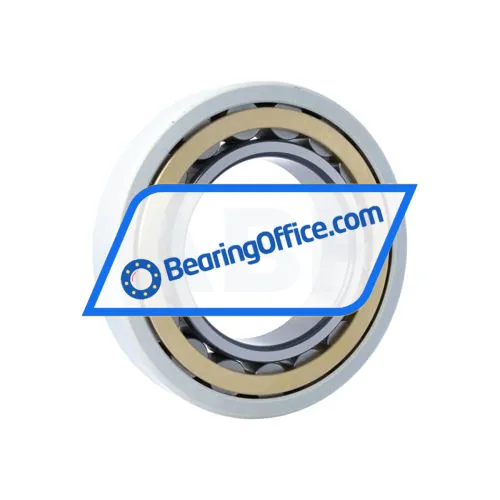 FAG NU224-E-XL-M1-J20AA-C3 bearing image 2