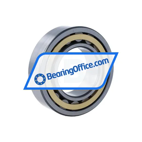 FAG NU2213-E-XL-M1-C4 bearing image 2