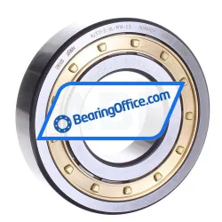 FAG NJ311-E-XL-M1A-C3