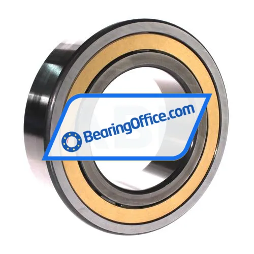 FAG NJ2219-E-XL-M1A-C3 bearing image 2