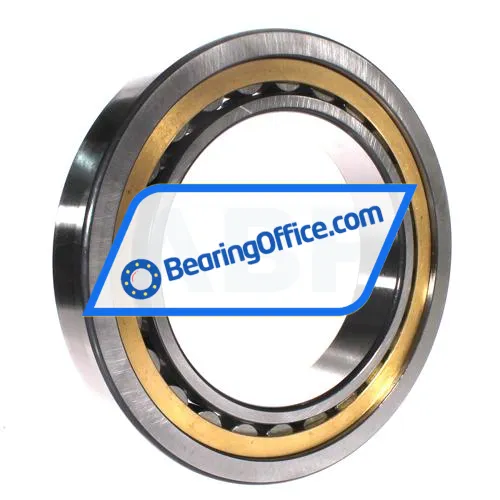 FAG NU1036-XL-M1A-C3 bearing image 3