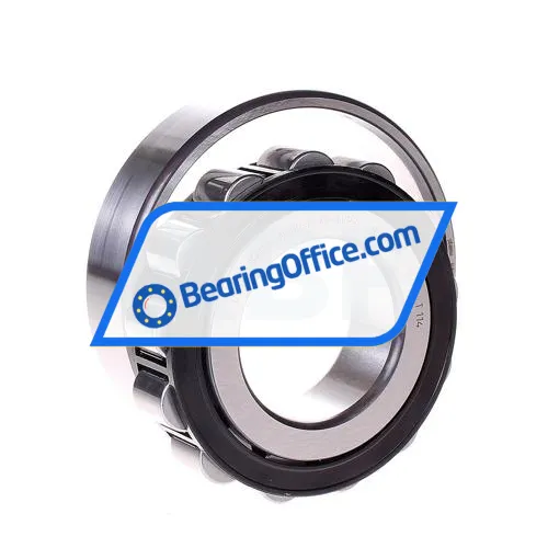 FAG N309-E-XL-TVP2 bearing image 2