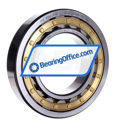 FAG NU222-E-XL-M1-C4