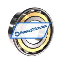 FAG NU219-E-XL-TVP2 rulman resim 2