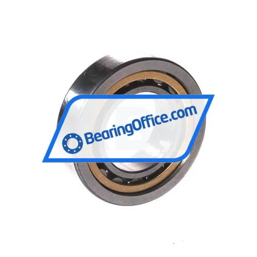 FAG NU1005-XL-M1 bearing image 2