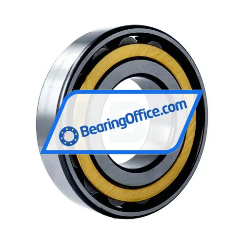 FAG N319-E-XL-M1 bearing image 2