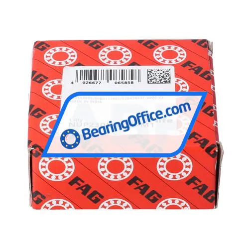 FAG NUP2305-E-XL-M1 bearing image 3