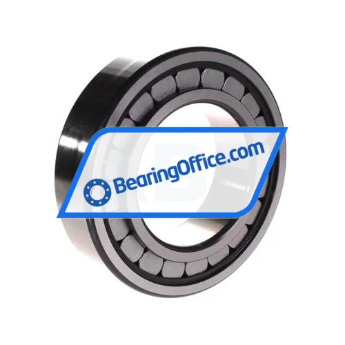 INA SL182218-A bearing image 2