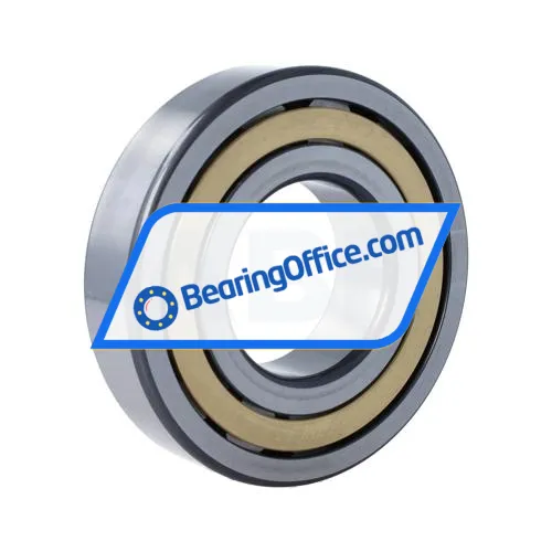 FAG NJ313-E-XL-M1 bearing image 2