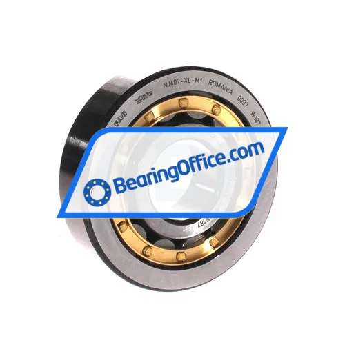 FAG NJ407-XL-M1