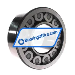 INA ZSL192322-C3 rulman resim 2