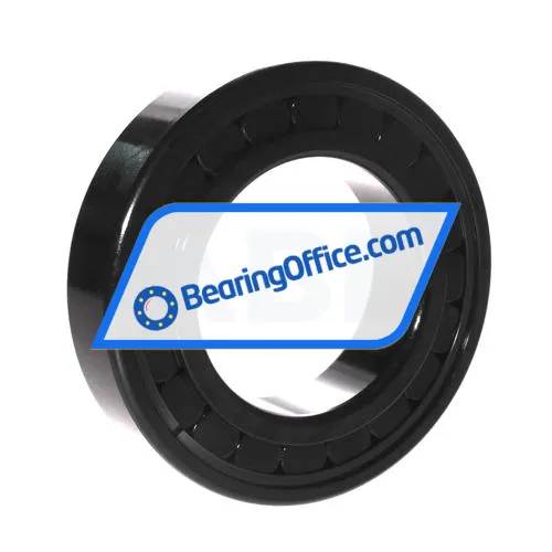 INA SL182216-A-BR-C3 bearing image 2