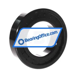 INA SL182216-A-BR-C3