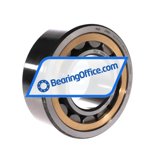 FAG NJ2315-E-XL-MPAX-QP51-C4