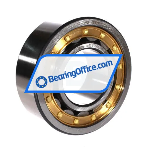 FAG NJ2315-E-XL-M1A-QP51-C3