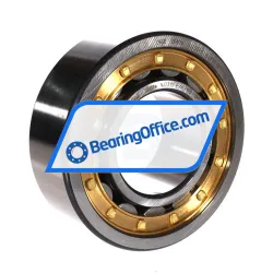 FAG NJ2315-E-XL-M1A-QP51-C3