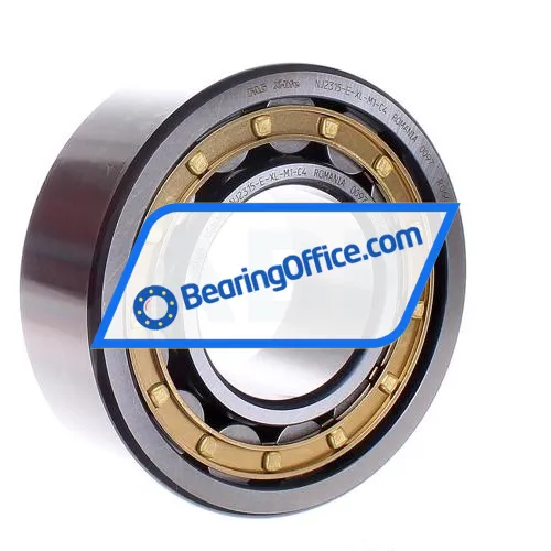 FAG NJ2315-E-XL-M1-C4