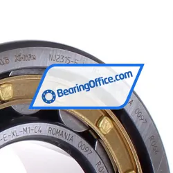 FAG NJ2315-E-XL-M1-C4 rulman resim 2