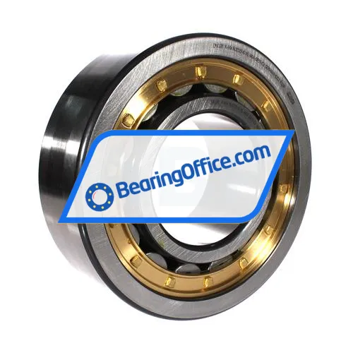 FAG NJ2322-E-XL-M1A-QP51-C3