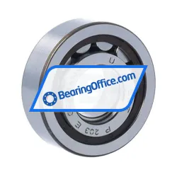 SKF NUP203ECP rulman resim 2