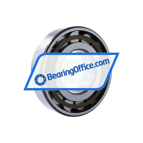 SKF N319ECP/C3 bearing image 2