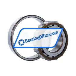 SKF N319ECP/C3 rulman resim 3